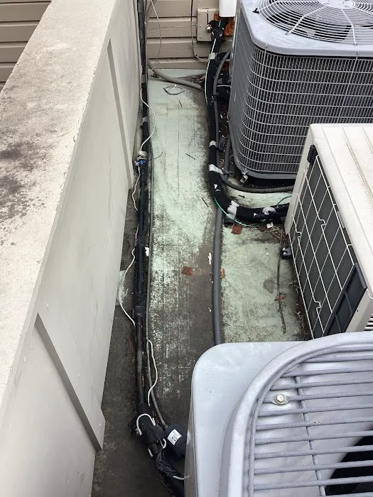 5 Star Charleston Johns Island Picture 3