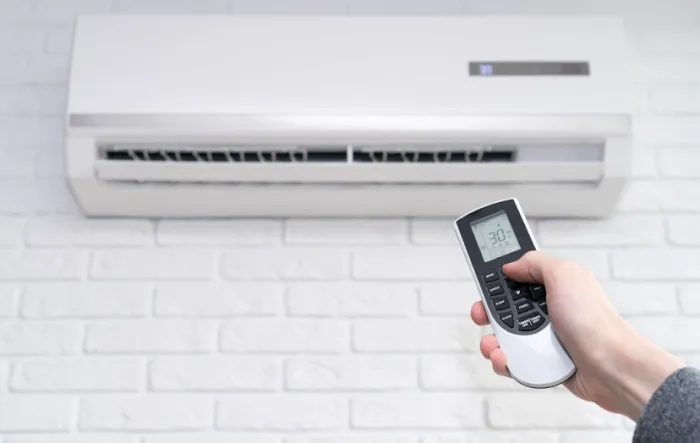 5 Star Charleston Picture 8