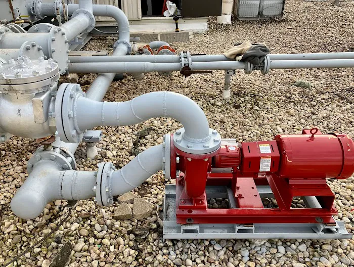 W. B. Guimarin & Co. Picture 10