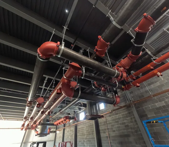 W. B. Guimarin & Co. Picture 6