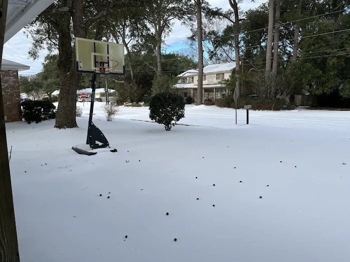 Ashley Services Picture 1