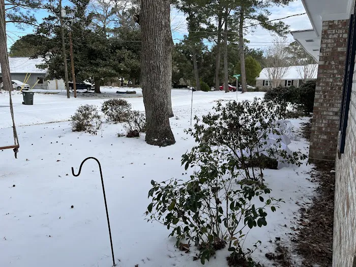 Ashley Services Picture 3