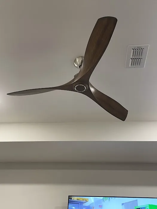 Mister Sparky of Charleston Picture 8