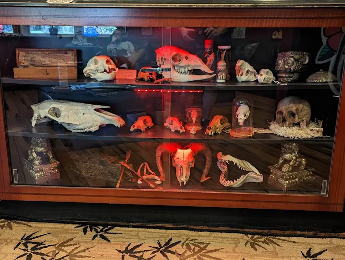 Mister Sparky of Charleston Picture 2