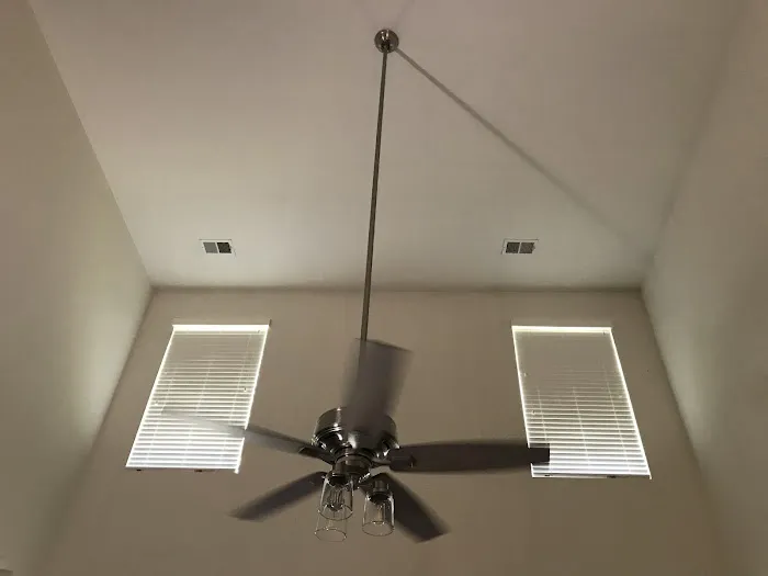 Mister Sparky of Charleston Picture 9