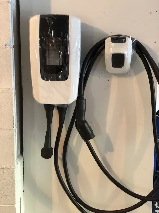 Mister Sparky of Charleston Picture 5