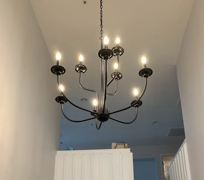 Mister Sparky of Charleston Picture 6