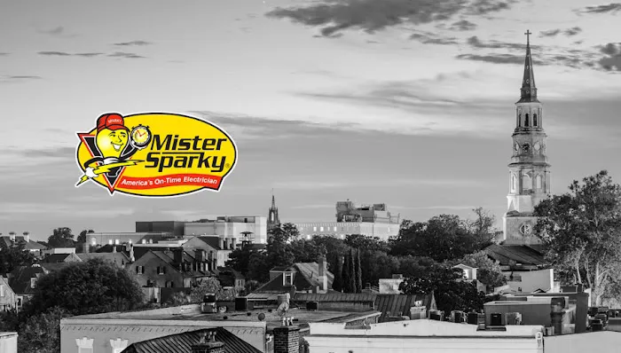 Mister Sparky of Charleston Picture 7