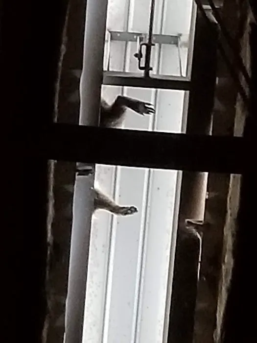 North Charleston Comfort Heating & Air Conditioning Picture 3