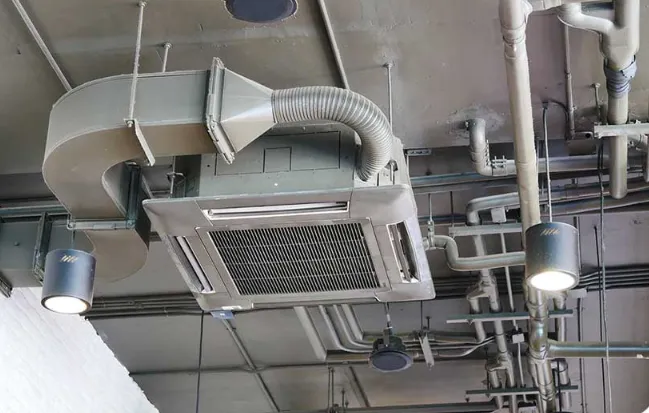 Domingo & Sons Picture 1