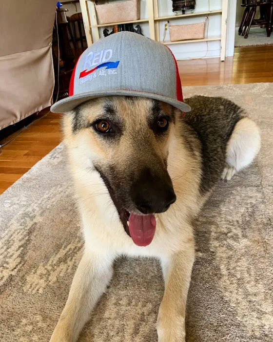 Reid Heating & Air Picture 10