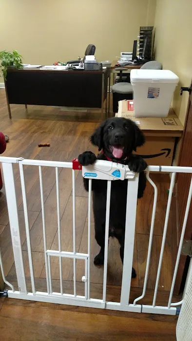 C & R Automotive Inc Picture 6