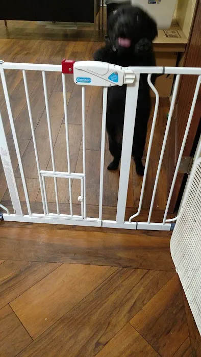 C & R Automotive Inc Picture 5