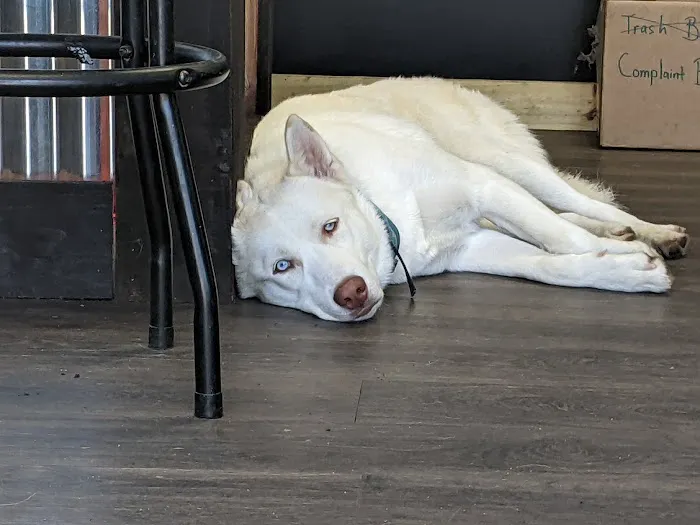 Carolina Auto Repair services Picture 4