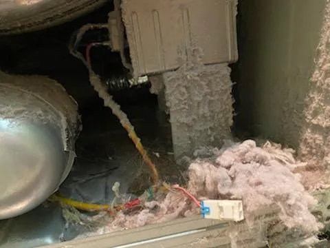 Vent Kings - The King's of Fresh Air Picture 5