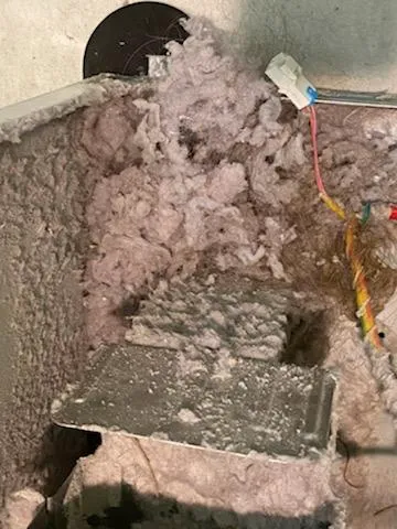 Vent Kings - The King's of Fresh Air Picture 7