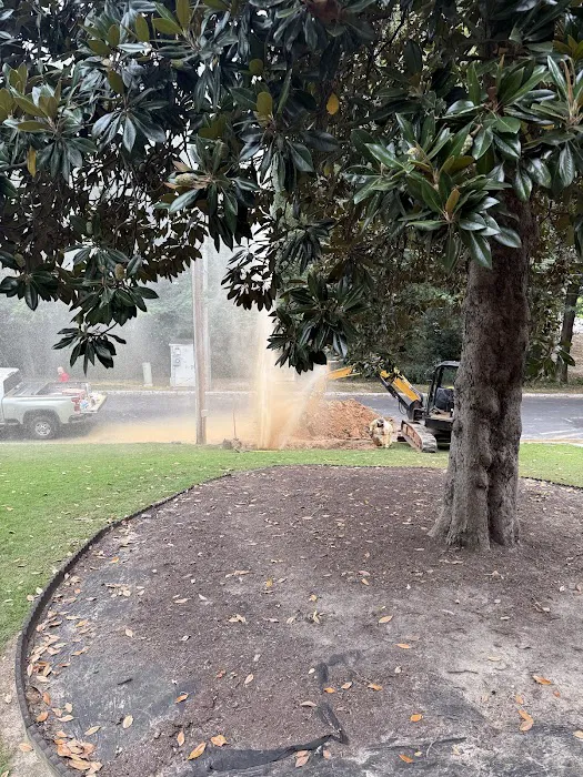 Bardi Home Services Picture 1