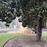 Bardi Home Services ico