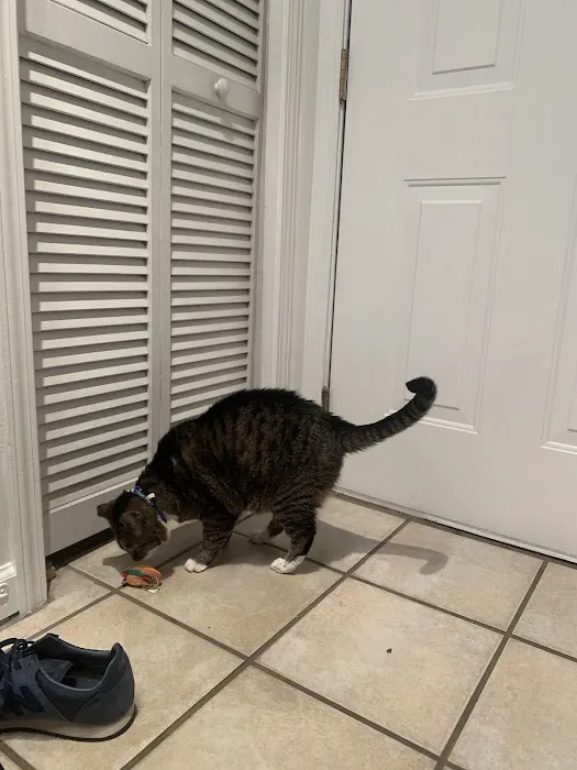 GB Services HVAC Picture 2