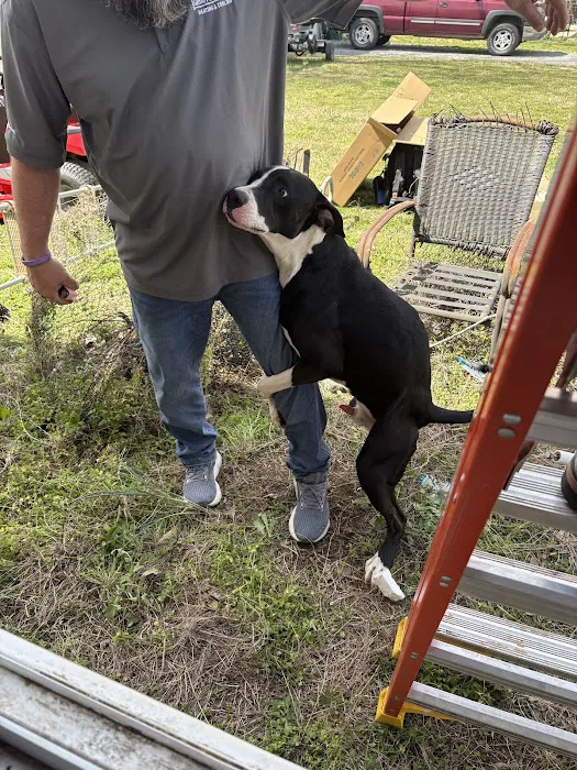 Bama Air Systems Mechanical Contractors, Inc Picture 6