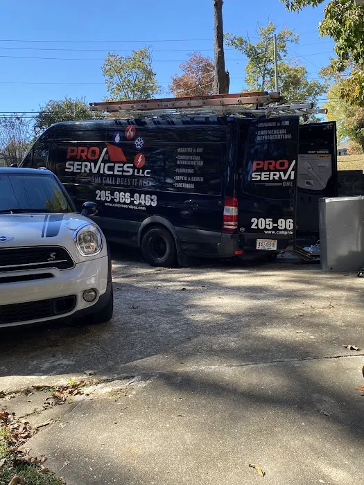 Pro Services LLC Picture 2