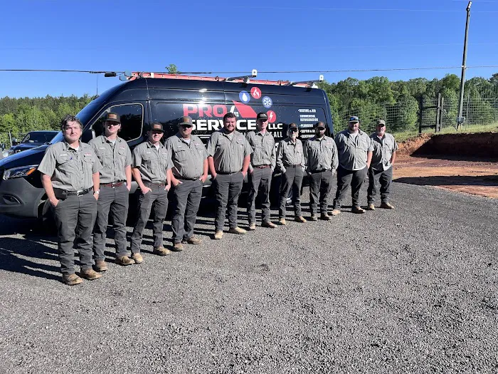 Pro Services LLC Picture 3