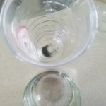 Bruno Total Home Performance