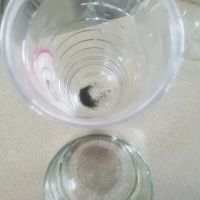 Bruno Total Home Performance ico