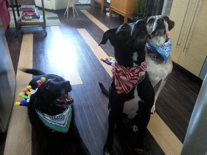 C&C Myers Heating, Cooling, Plumbing & Electrical Picture 5