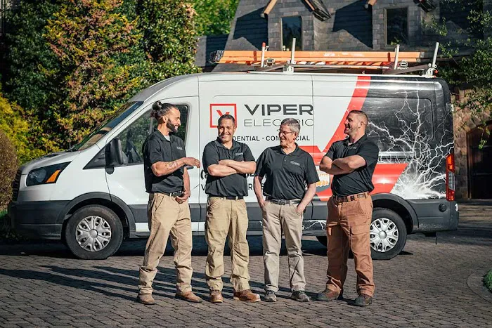 Viper Services Picture 5