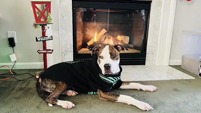 Cross Mechanical Picture 1