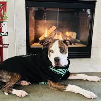 Cross Mechanical ico