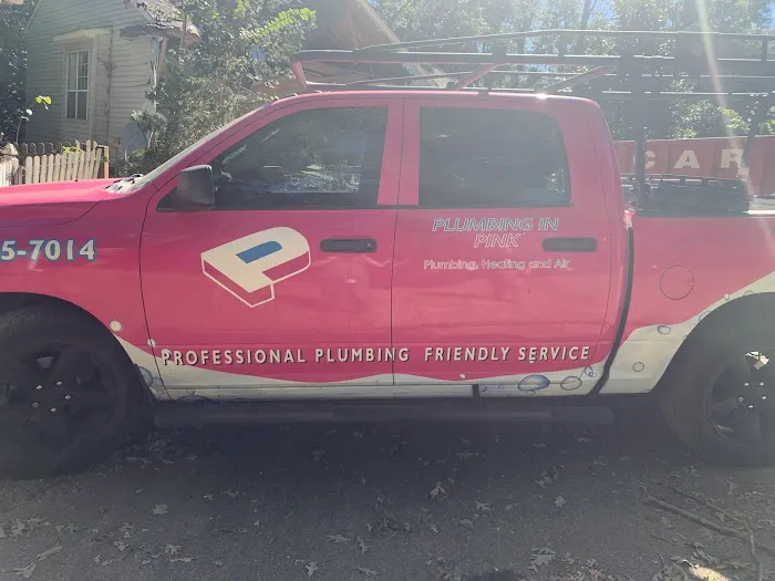 Plumbing In Pink Picture 3