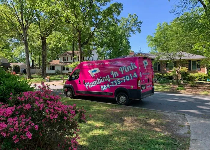 Plumbing In Pink Picture 6