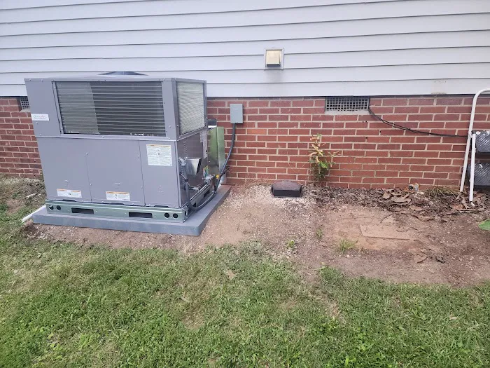 Plumbing In Pink Picture 7