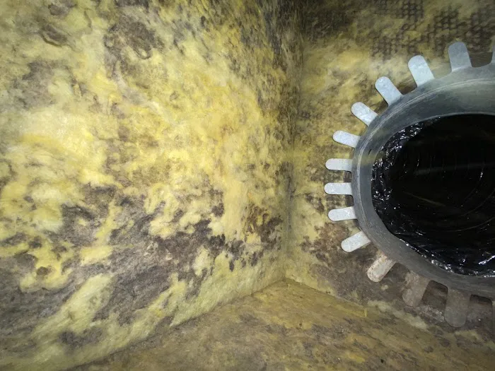 RS Andrews Picture 9