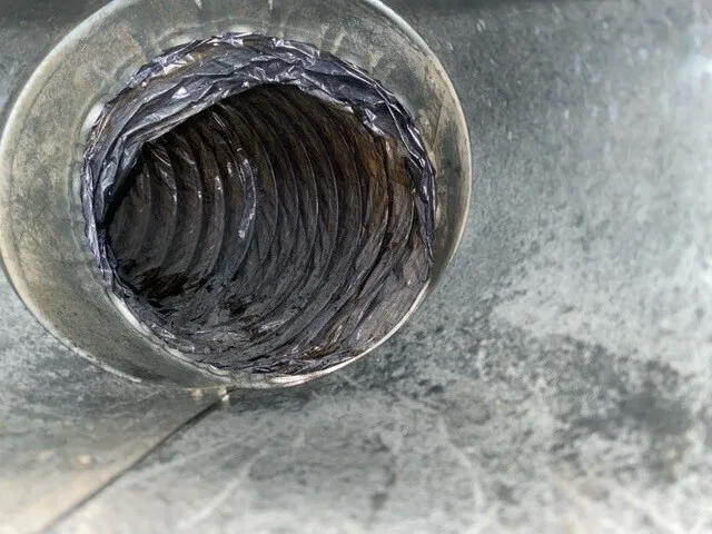 RS Andrews Picture 7