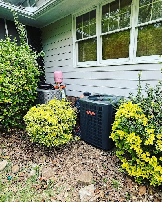 CS Confort Time Picture 4