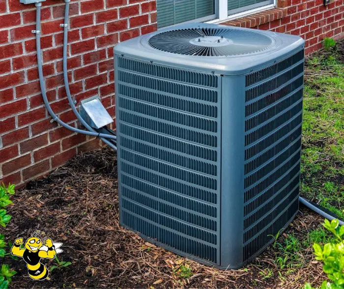 Hammock's AC Picture 4