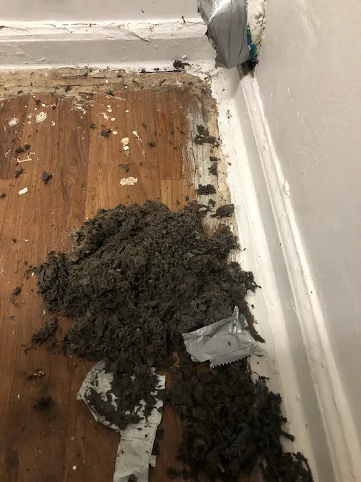 A-Z Air Ducts and Carpet Care Picture 5