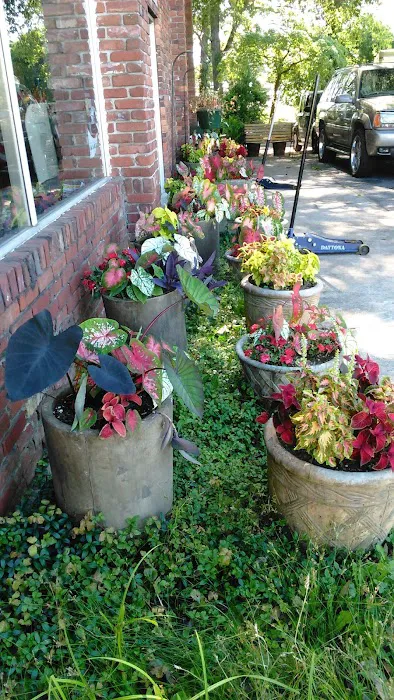 Captain Tire & Auto Repair Picture 4