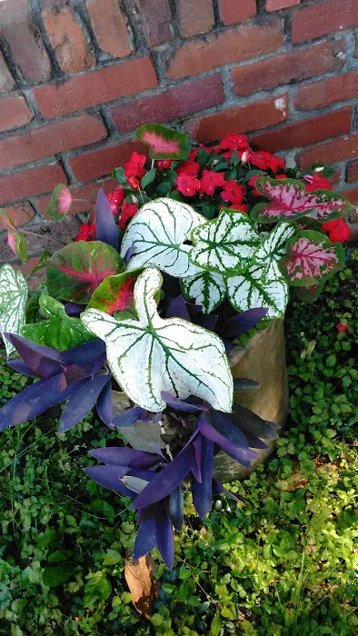 Captain Tire & Auto Repair Picture 5