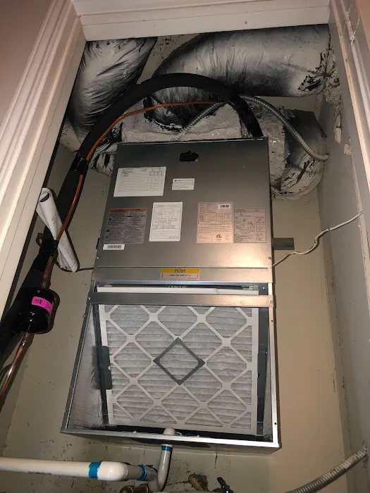 Cool United Air Picture 1