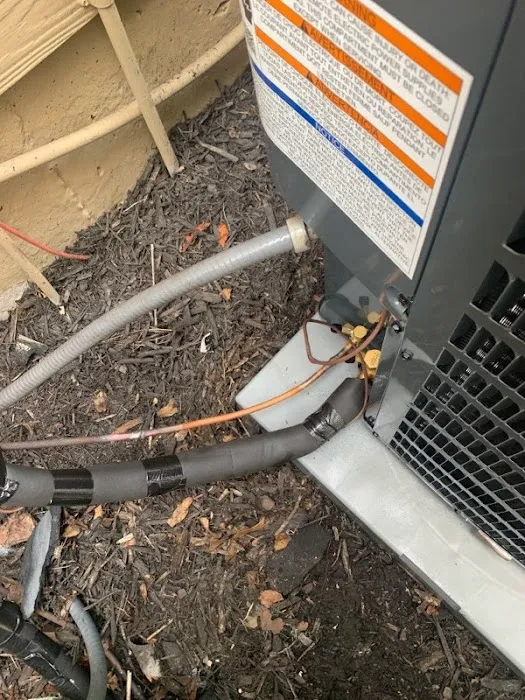 Cool United Air Picture 4