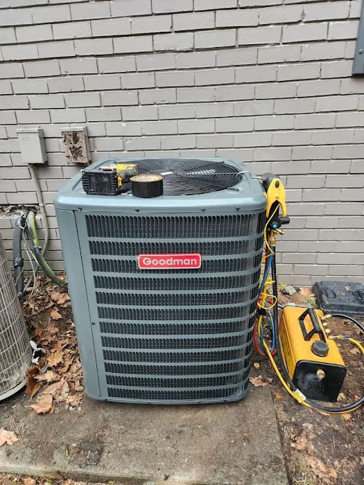 Cool United Air Picture 9