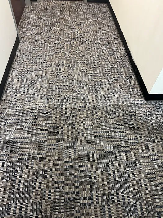 The Honest Guys Picture 10