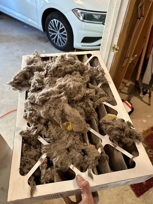 The Honest Guys Picture 7