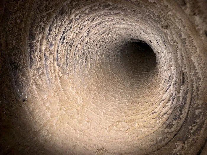 The Honest Guys Picture 9