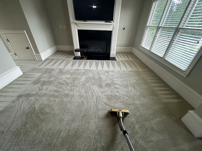 The Honest Guys Picture 1