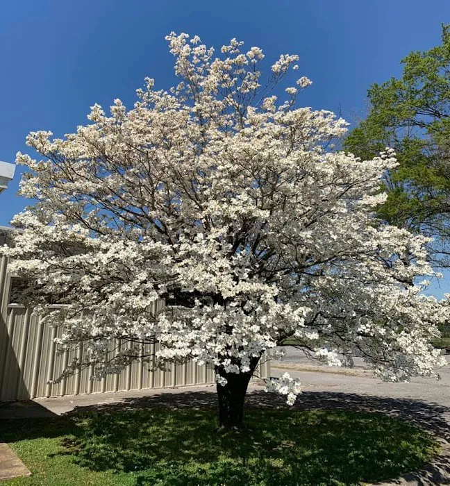 Southern Heating & Cooling, Inc. Picture 9